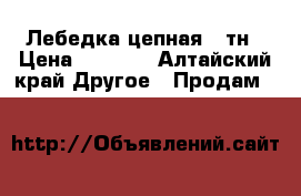 Лебедка цепная 3 тн › Цена ­ 5 000 - Алтайский край Другое » Продам   